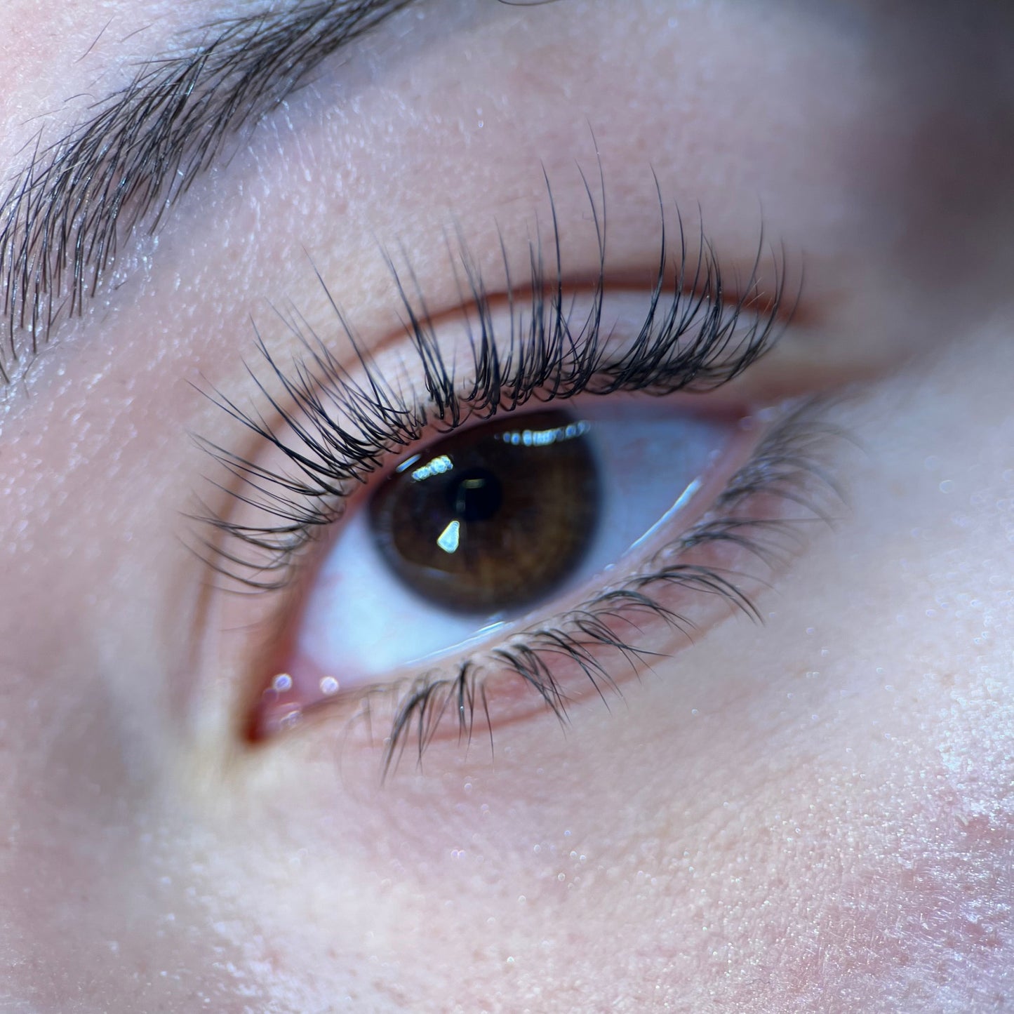 BOLD - Low Gloss/ Feather Tip Vol Trays